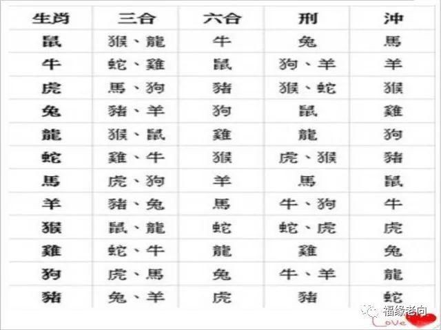 1987年屬兔公司起名，兔屬木為什麼1987年的兔是火命