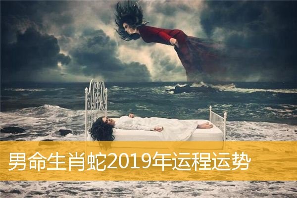 生肖排表圖2023年_十二生肖排表圖_生肖排列表圖片