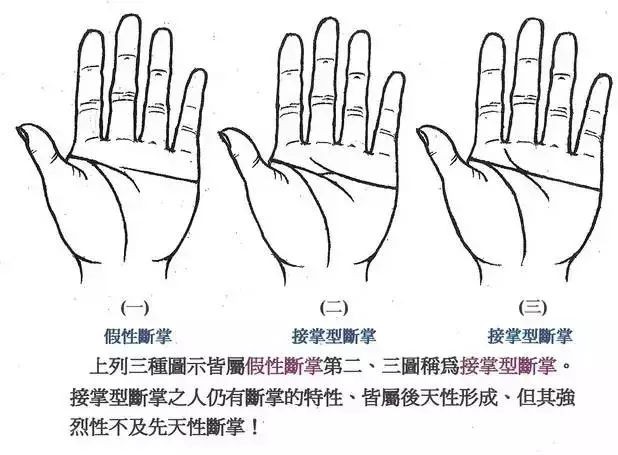 原來斷掌的人這麼厲害！你是斷掌嗎？