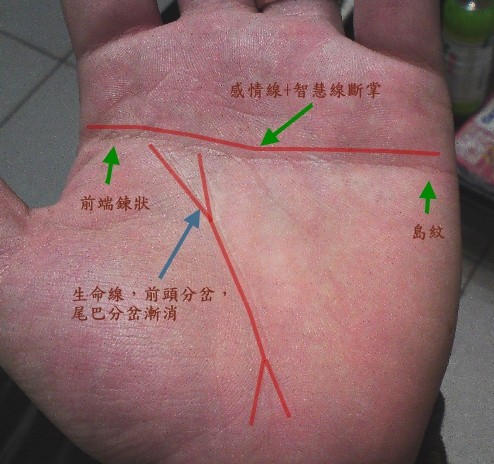 手相斷掌紋是睿智、聰明和判斷力強嗎？