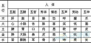 八字生辰起名打分_生辰屬相八字五行查詢_名字與生辰八字