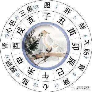 午時_午時初,午時中,午時末_壬申猴農歷九月初九午時