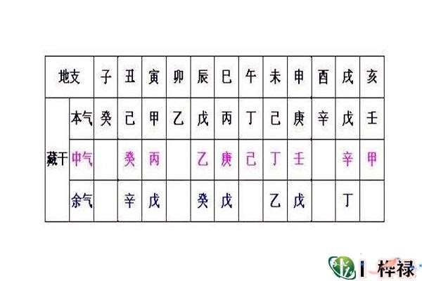 十二地支藏幹必背口訣及作用原理