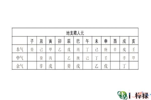 十二地支藏幹必背口訣及作用原理