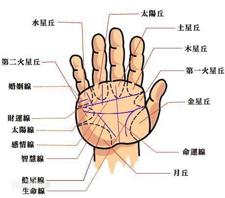 圖解分析手相中的生命線