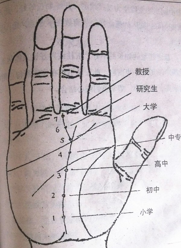 手相圖解大全_手相圖解_假斷掌手相圖解