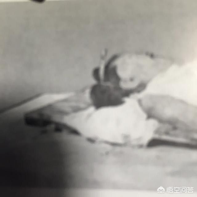 古代女子的發髻那麼高，是怎麼梳的？