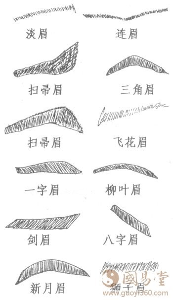 面相眉毛：相學眉毛圖解相法絕學