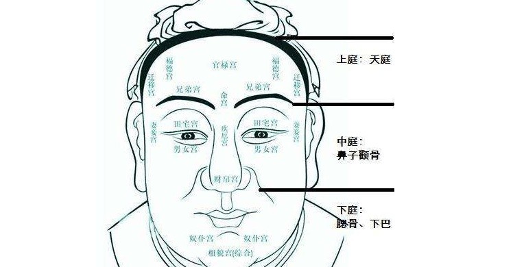 天庭飽滿_飽滿_天庭不飽滿男士留什麼發型