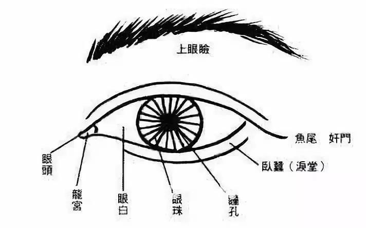 眼睛黑白分明是左腦思維嗎_眼睛黑白分明_動漫女生眼睛黑白