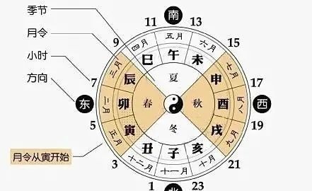 巳火戌土_巳火_丙火日主見地支巳火