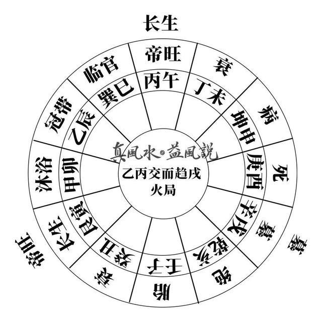 金辛金鈣特24支多少錢_辛金_金辛金鈣特一般補多久