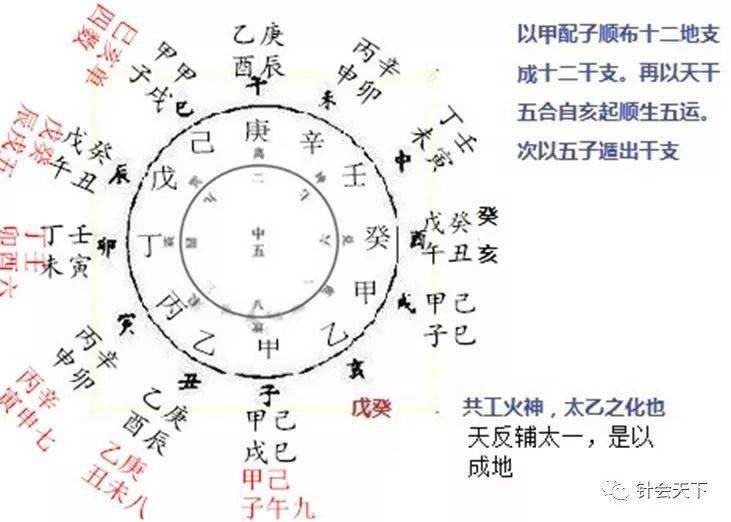 金辛金鈣特24支多少錢_辛金_金辛金丐特