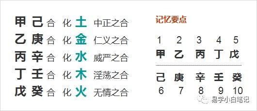 金辛金丐特_金辛金鈣特24支多少錢_辛金