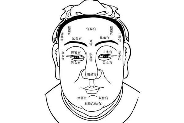 看男人面相算命圖解_男人顴骨高面相_怎麼看男人的面相