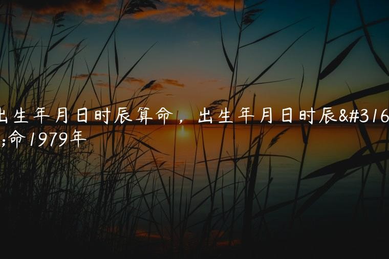 出生年月日時辰算命：請幫我算算按出生年月日時辰算命