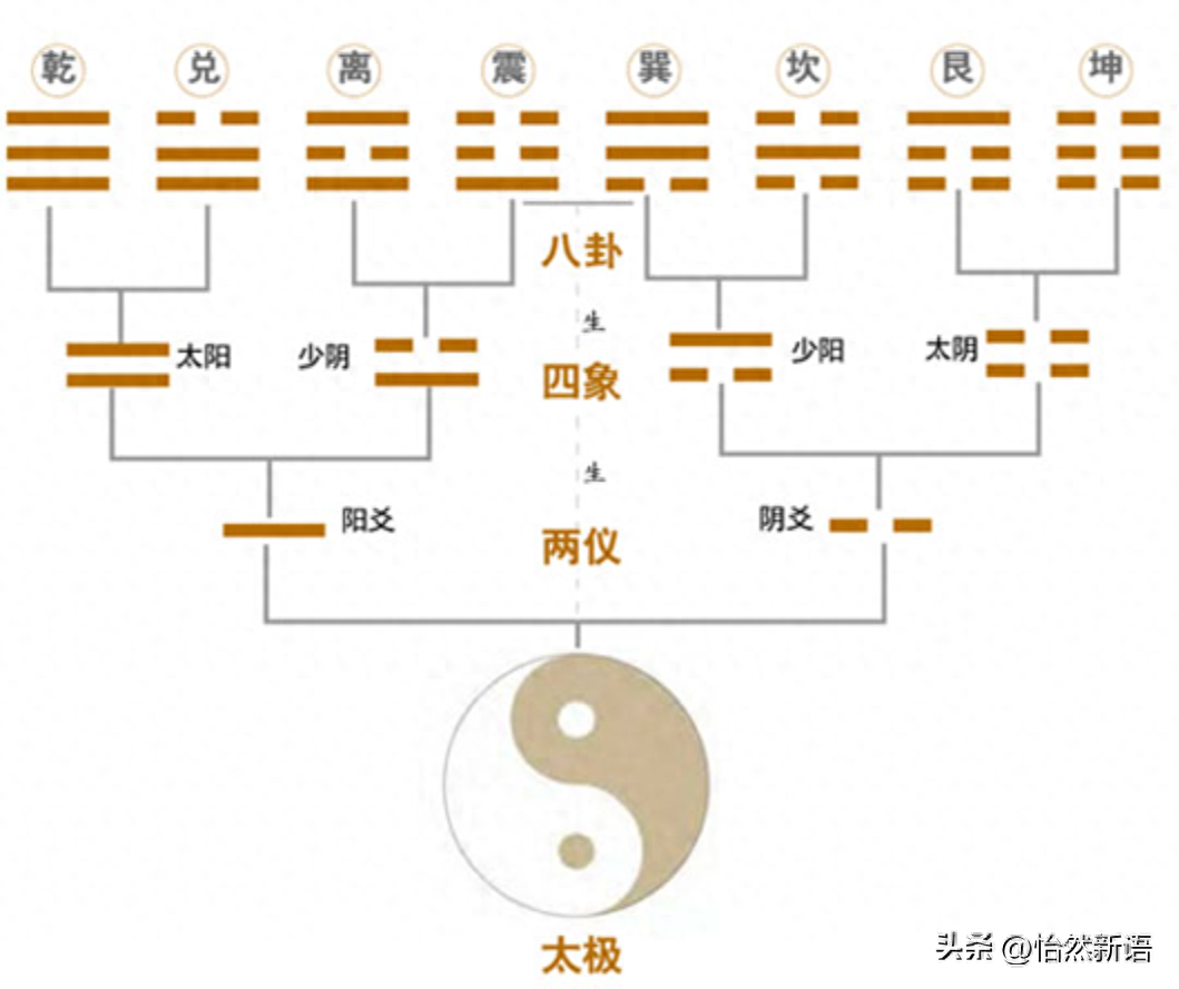 畫木屬性的寶可夢圖片_畫木屬畫木屬_屬木七畫