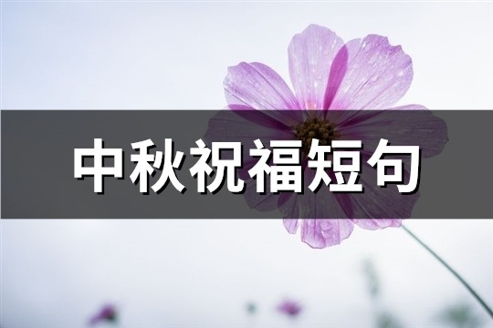 中秋祝福短句(匯總76句)