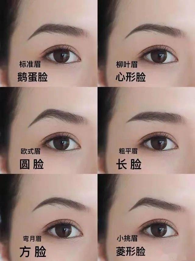 面相圖解：眉毛看出你的小秘密