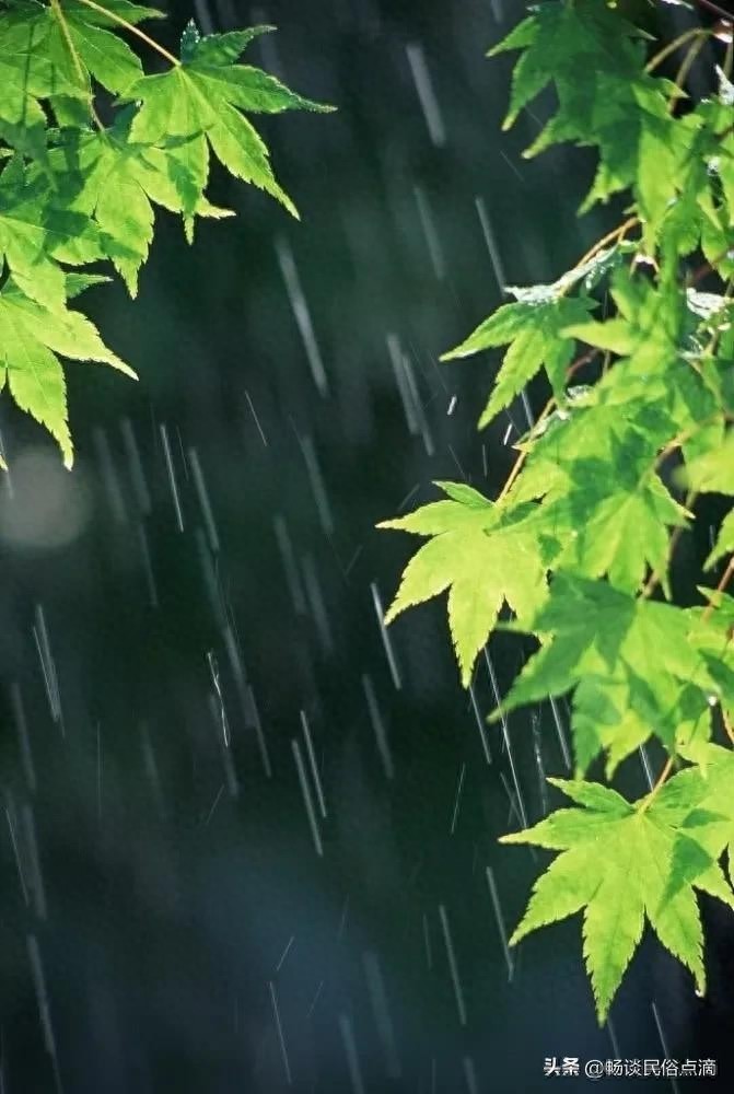 雨水節氣的含義是什麼意思_雨水節氣的含義是什麼意思_雨水節氣的含義是什麼意思