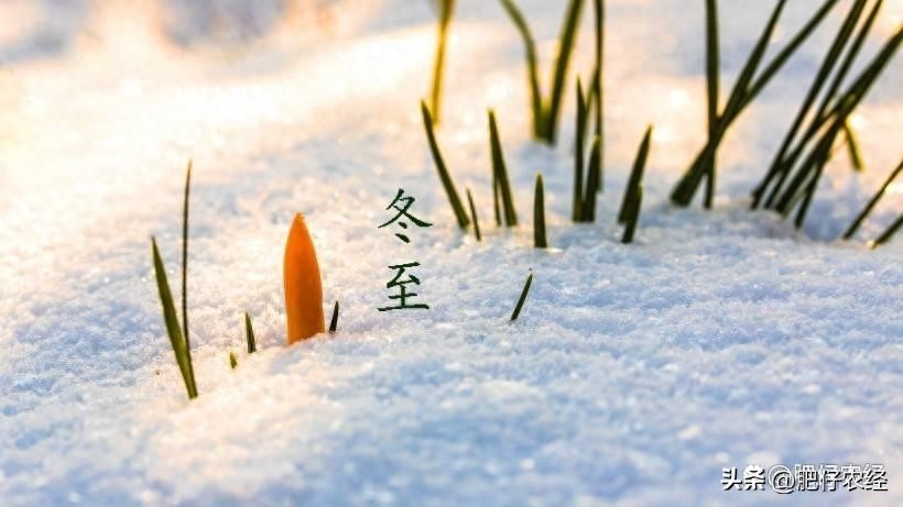 雨水節氣的含義是什麼意思_雨水節氣的含義是什麼意思_雨水節氣的含義是什麼意思