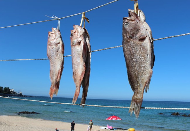 夢見自己抓魚是什麼兆頭 夢見自己抓魚有什麼預兆