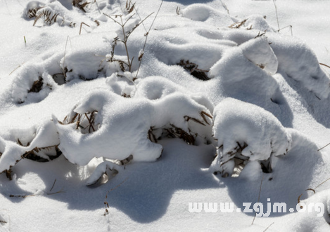 孕婦夢到下雪好嗎_下雪孕婦夢見自己懷孕_孕婦夢見下雪