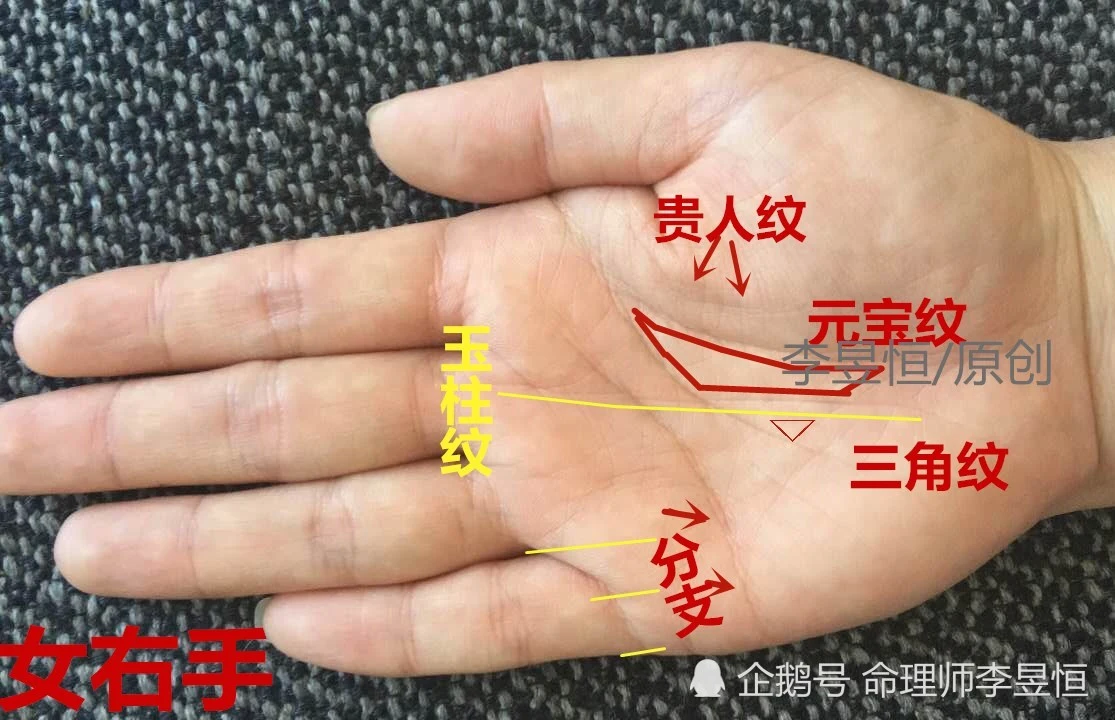 手相坤宮算命：太陽丘的相法絕招