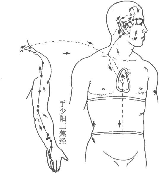 經絡名·少陽