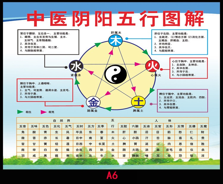 屬雞石榴木命是什麼意思_大林木命什麼意思_男木命和女木命配不配