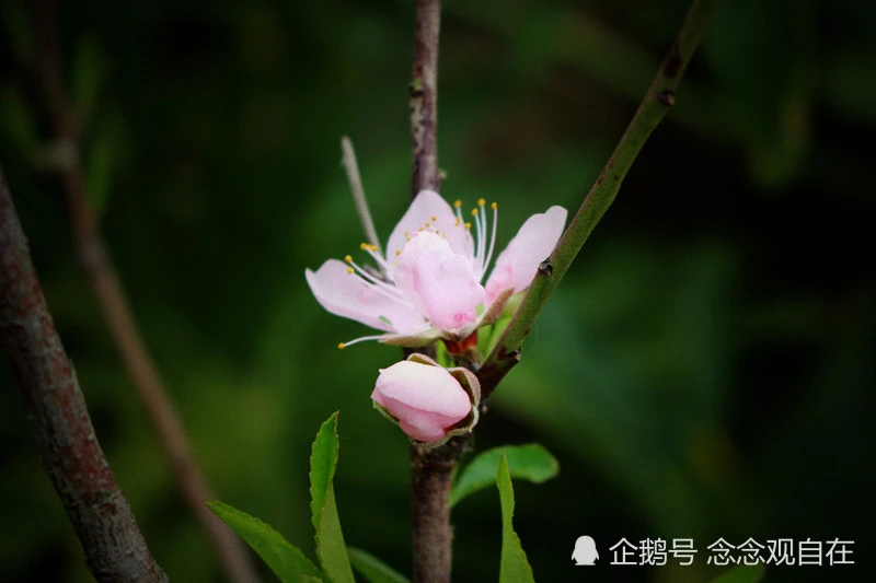 什麼是正緣？