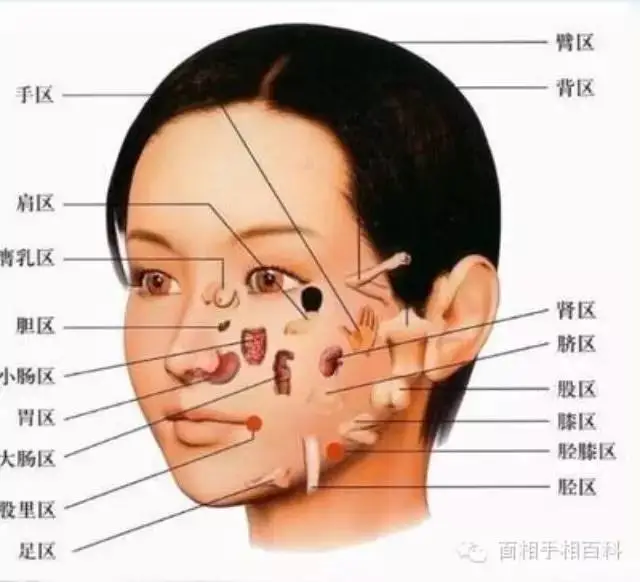 周易看面相_看周易五行表_周易面相圖解