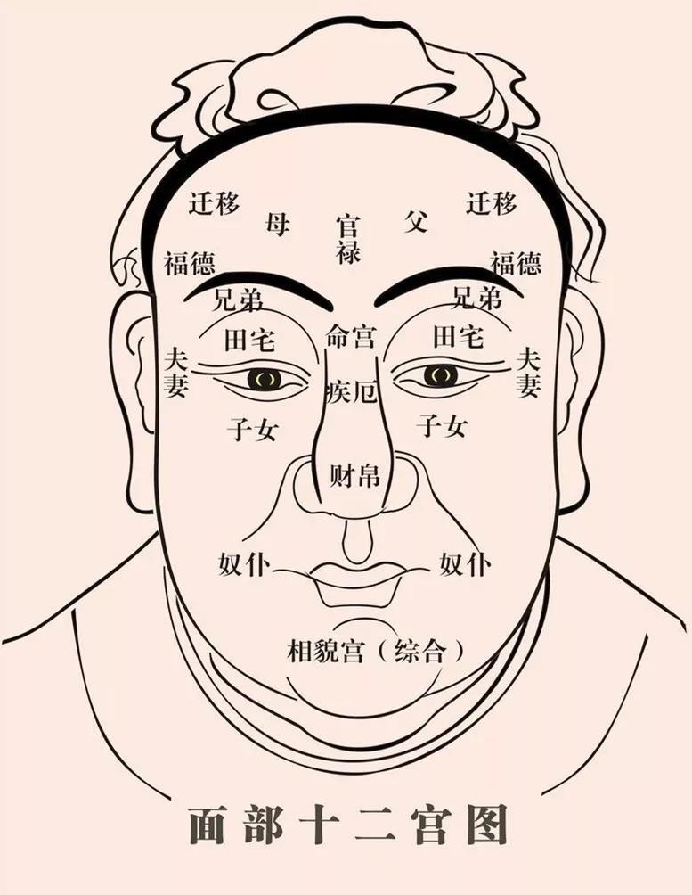 周易面相圖解_周易怎麼配十翼看_周易看面相