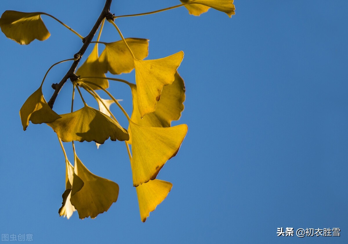 二十四節氣之秋分詩四首：春分秋分晝夜中，四時成歲歲如此