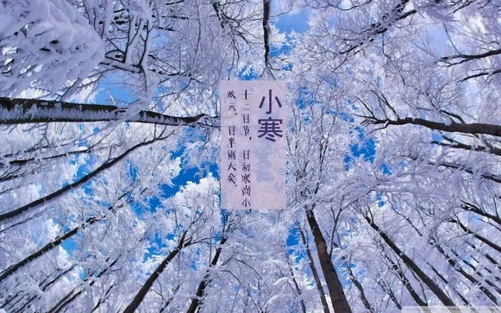 小寒與大寒_小寒大寒是什麼意思_冬季養生小知識(小寒,大寒),衣食住行