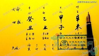 甲子日的八字(甲子日柱富貴的條件)