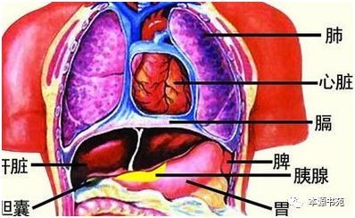 陰陽八卦理論出自哪本書_陰陽八卦口訣_陰陽八卦