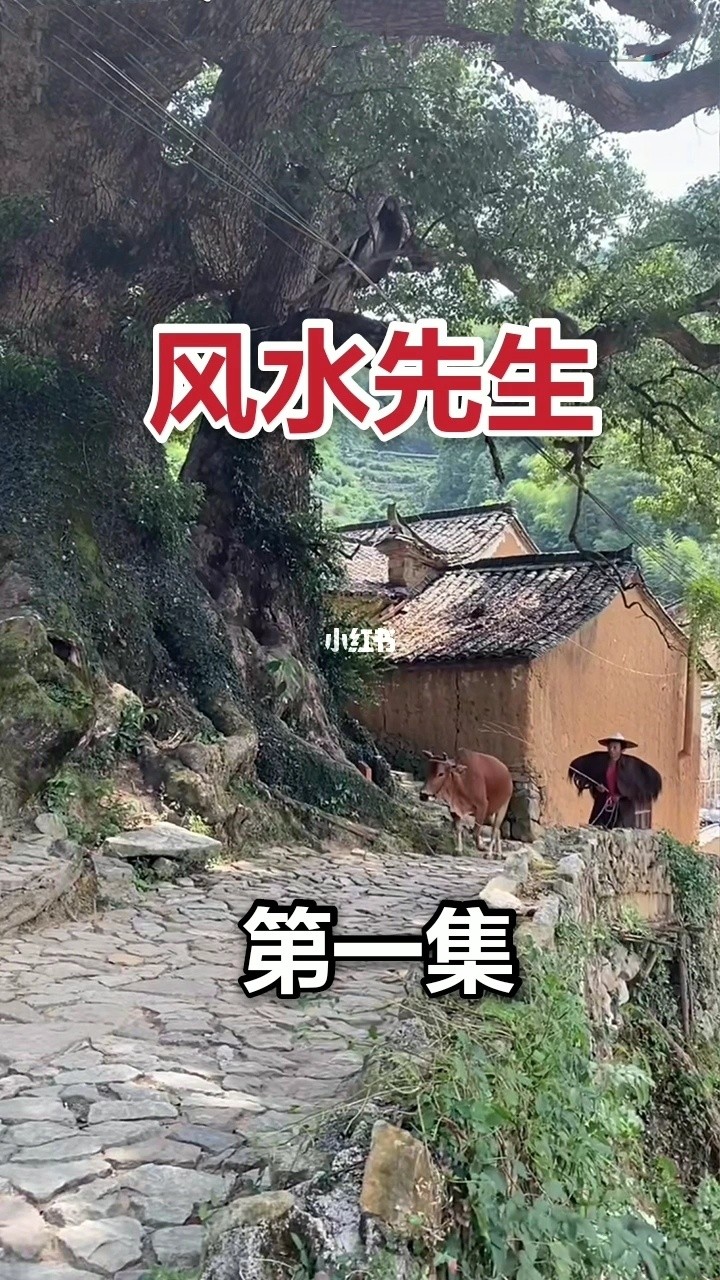 風水寶地口訣_風水必背口訣_面相風水口訣