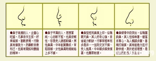 鼻子面相（14種鼻型圖解）