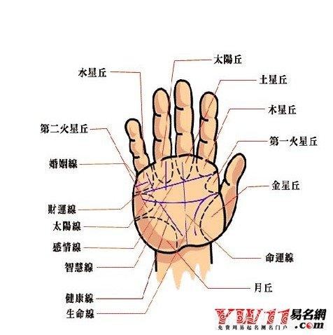 男人手相怎麼看 男人最富貴的12種手相特征