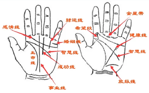 男左手相學圖解算命大全_男生左手手相圖解_左手圖解手相男生圖片