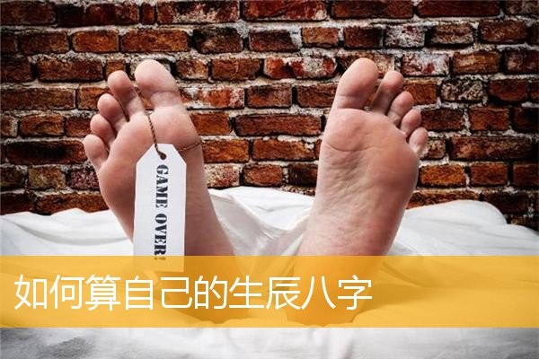 如何算自己的生辰八字