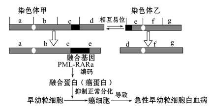 l姓男星和w姓女星_姓曾和那些姓是一個姓_姓歸