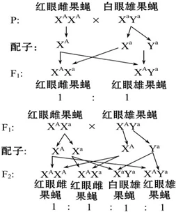 姓歸_姓曾和那些姓是一個姓_l姓男星和w姓女星