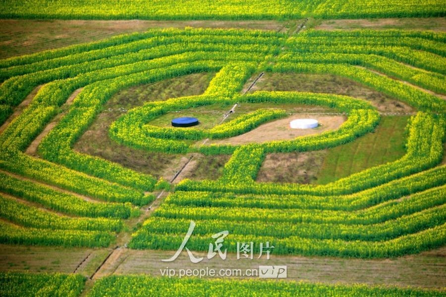 安徽：巨型“太極八卦圖”顯現齊雲山