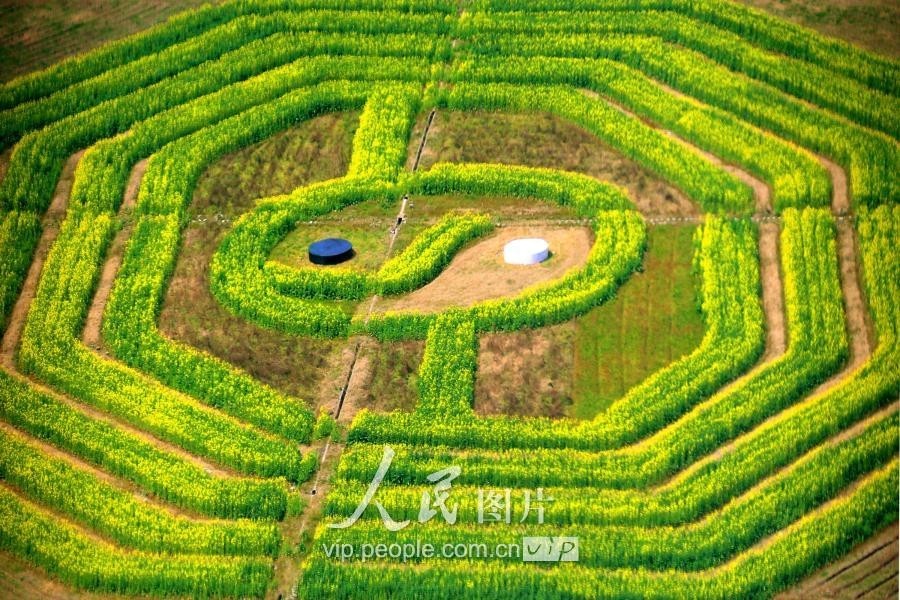 安徽：巨型“太極八卦圖”顯現齊雲山