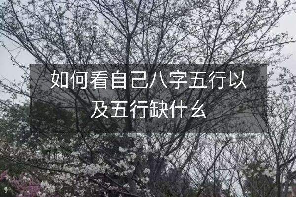 如何看自己八字五行以及五行缺什幺