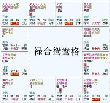 殺破狼格-破軍果斷勇敢具開創性