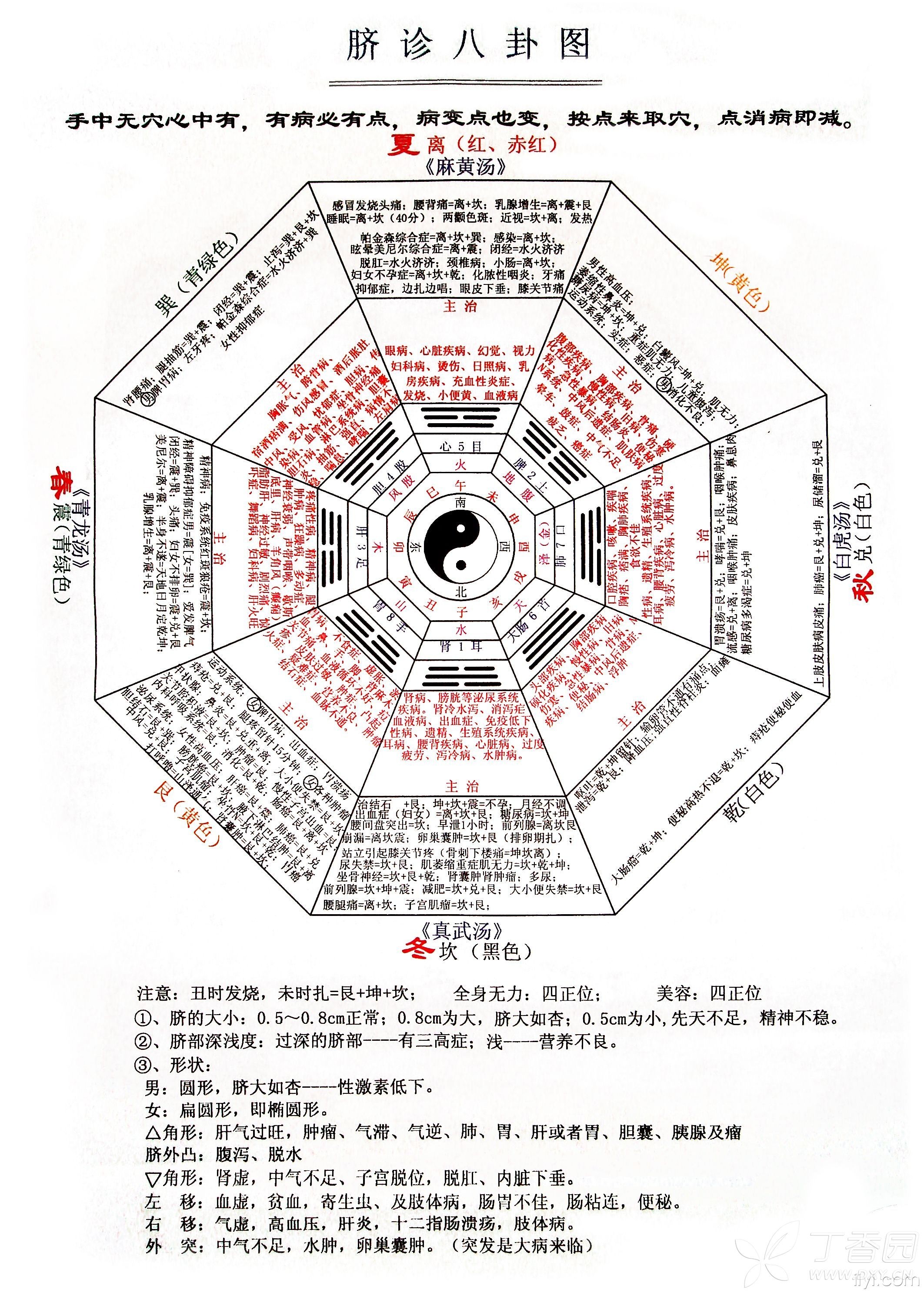 周易與健康第七節隨卦