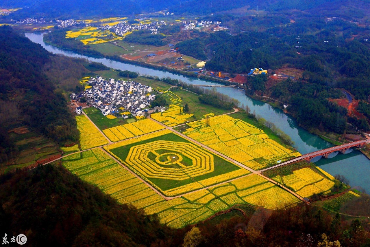 油菜花海組成的太極八卦圖